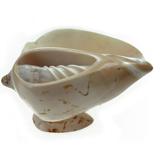 Mušle miska/popelník