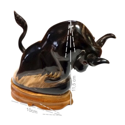 Buvolí roh  - buvol