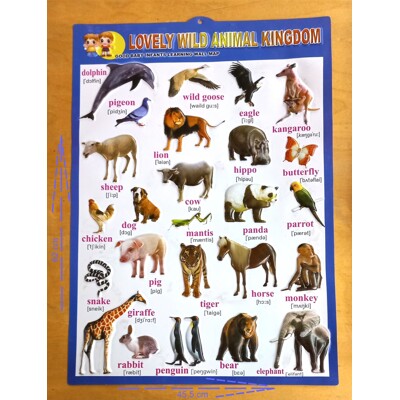 Výukový plakát 3D