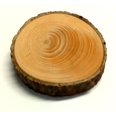 Větvový suk s kůrou