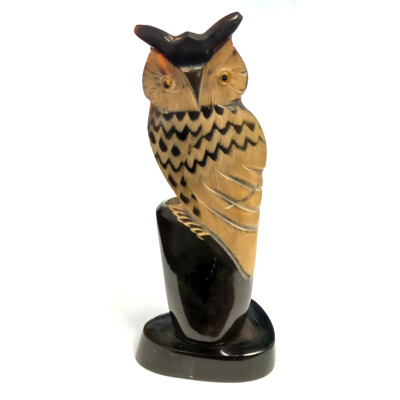 Buvolí roh - tužkovník