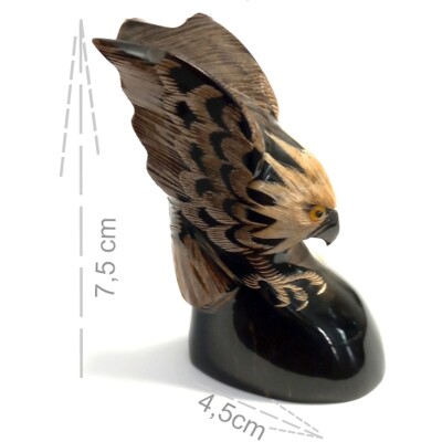 Buvolí roh - pták č.6