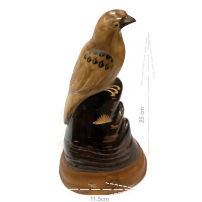 Buvolí roh - pták č.11