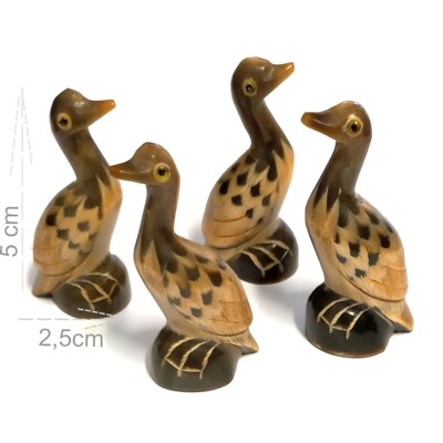 Buvolí roh - ptáci č.1 (4ks)