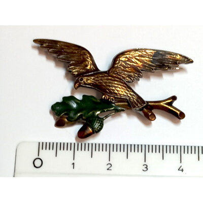 30. Orel, žaludy - barvené